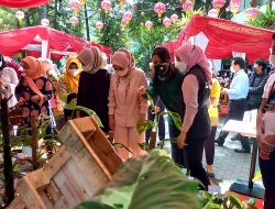 Flona Pameran Tanaman Hias Dengan Pendekatan Teknologi