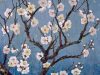 Cerpen: Senja di Negeri Sakura