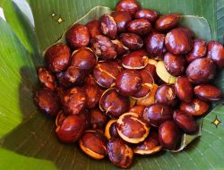 Beberapa Olahan Jengkol Ini Wajib Kamu Coba!