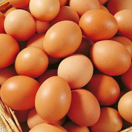 8 Ragam Manfaat Telur Untuk Kesehatan