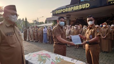 Disporaparbud