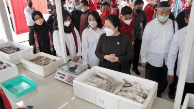 Puan: Pemulihan Ekonomi Transisi Covid-19 Harus Dirasakan Rakyat