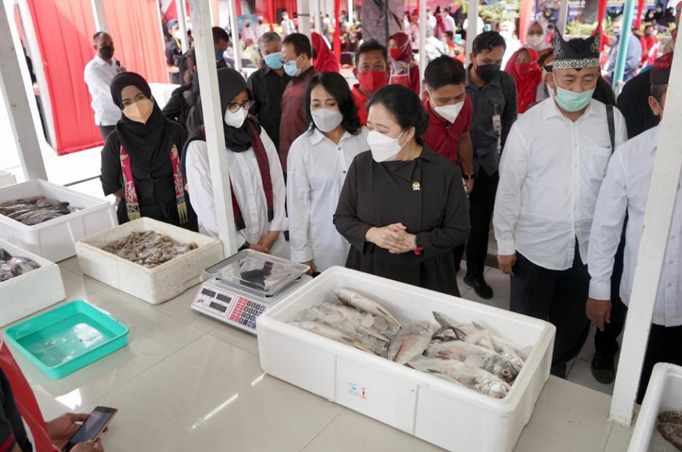 Puan: Pemulihan Ekonomi Transisi Covid-19 Harus Dirasakan Rakyat