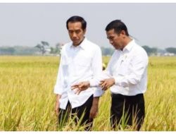 Mencari 3 Deputy Badan Pangan Nasional!