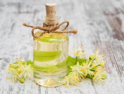 Manfaat Tea Tree Oil dan Efek Sampingnya