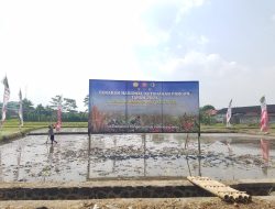 Gerakan Menanam Padi di Tengah Fenomena El Nino tidak Mempengaruhi Petani