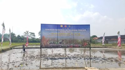 Gerakan Menanam Padi di Tengah Fenomena El Nino tidak Mempengaruhi Petani