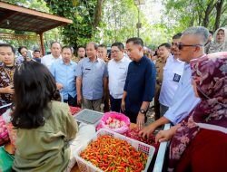 Pemanfaatan Lahan, Atasi Dampak Kenaikan Harga Cabai Rawit