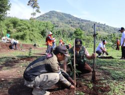 Peduli Lingkungan SAS Hospitality Gelar Aksi Tanam 1000 Pohon Bersama Lindungi Hutan