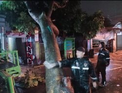 Pohon Milik Pemerintah Tumbang Menimpa Bangunan Tukang Cukur Dan Bengkel.