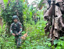 Pastikan Situasi Keamanan di Wilayah Tanggungjawab, Satgas Yonif 122/TS Laksanakan Patroli Keamanan