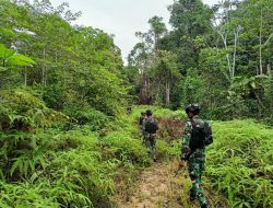 Satgas Yonif 623/BWU Masuk Keluar Hutan Jalankan Patroli Keamanan
