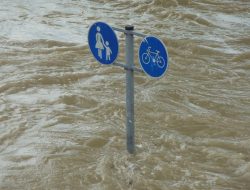 Untuk Pengendalian Banjir Harus Ada Pengendalian Konservasi KBU Untuk Resapan Banjir