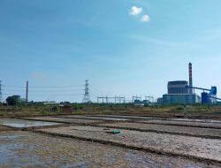 Kertas Posisi Penerapan Mekanisme Transisi Energi untuk PLTU Batubara Cirebon Unit 1 di Indonesia