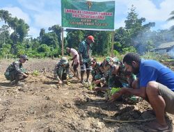 Manfaatkan Lahan Kosong, Satgas Yonif 122/TS Berikan Edukasi Cara Bercocok Tanam Kepada Masyarakat