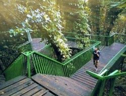 Mau ke susasna Hutan, Babakan Siliwangi paling Tepat dikunjungi
