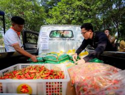 Harga Pangan di Kota Bandung menjelang Idul Adha Stabil dan Surplus