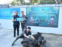 Momentum Idul Adha: berbagi daging Hewan Qurban di Lingkungan Kejati Jabar
