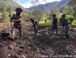 Satgas Yonif 323/BP Bantu Masyarakat Papua Bercocok Tanam Sayuran