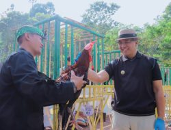 Kontes Ayam Pelung Gema Lokananta II Tingkat Kota/Kabupaten Dibuka Oleh Dicky Saromi