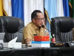 Mendagri Minta Pemda Jaga Stabilitas Inflasi Jelang Pilkada