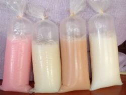 ironi Persusuan Nasional ditengah Program Minum Susu Gratis