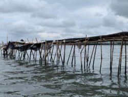 Respons KKP soal Pembongkaran Pagar Laut Bambu Tangerang oleh Masyarakat