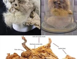 Mumi Kuno bernama Salt Man di tahun 1993 ditemukan di Tambang Garam Chehrabad