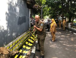 STIMIK AMIK Bandung membayar denda 20 juta paska menebang 2 pohon, Aparat Pemkot Bandung ini Efek Jera bagi pelanggar Perda