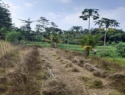 Badan Pemulihan Aset Melelang Barang Rampasan Negara Atas Nama Terpidana Benny Tjokrosaputro