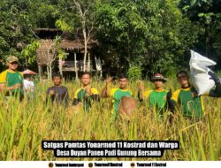 Satgas Pamtas Yonarmed 11 Kostrad dan Warga Desa Duyan Panen Padi Gunung Bersama
