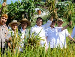 Panen Perdana 2025 Pemkot Bandung, Produktivitas Tinggi Capai 8 Ton per Hektar