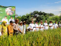 Kota Bandung Mandiri Benih: Serahkan 1 Ton Benih Hasil Penangkaran ke Petani