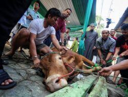 DKPP Pastikan Hewan Kurban Aman: Dari Lumbung ke Meja Makan Warga Bandung