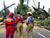 Respons Cepat Atasi Pohon Tumbang di Dago, Wali Kota Farhan Turun Tangan dan Perintahkan Langkah Antisipatif