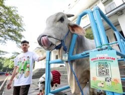 Bebas PMK, Pemkot Bandung Tetap Waspadai Penyakit Hewan