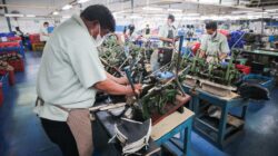 Ancaman PHK Massal di Jabar, Wali Kota Farhan Dorong Padat Karya sebagai Solusi