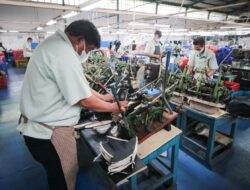 Ancaman PHK Massal di Jabar, Wali Kota Farhan Dorong Padat Karya sebagai Solusi