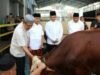Rutan Kelas I Depok gelar pemotongan Hewan Kurban, Wujud Kebersamaan dan Kepedulian di Hari Raya Iduladha 1446 H