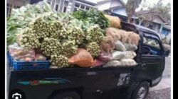 Aksi Gabungan Sopir Bandung Barat: Seruan Mogok Operasi dan Tuntutan Keadilan Transportasi