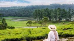 Healing Barat vs Healing Syar’i: Menyembuhkan Luka dengan Arah yang Benar