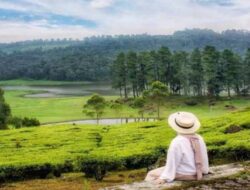 Healing Barat vs Healing Syar’i: Menyembuhkan Luka dengan Arah yang Benar