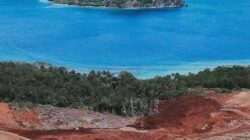Oligarki Kuat di Balik Tambang Raja Ampat: Saat Alam Dipertaruhkan, Siapa di Balik Kuasa?