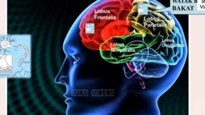 Banyak, Tapi Zonk: Refleksi Kritis atas Kebanggaan Semu