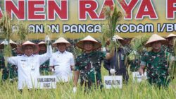Panglima TNI Panen Raya Padi Seluas 80 Hektar, Dukung Program Ketahanan Pangan Nasional