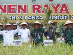 Panglima TNI Panen Raya Padi Seluas 80 Hektar, Dukung Program Ketahanan Pangan Nasional