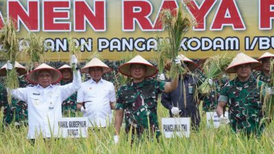 Panglima TNI Panen Raya Padi Seluas 80 Hektar, Dukung Program Ketahanan Pangan Nasional