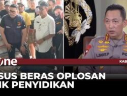 Beras Oplosan: Ujian Serius Integritas Rantai Pangan Nasional