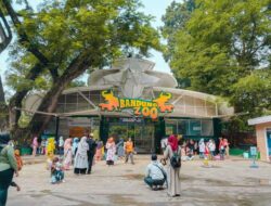 Bandung Zoo Kembali Dibuka, Gonjang-Ganjing Manajemen Belum Usai