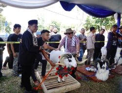Pesta Patok Domba 2025 Dorong Perekonomian dan Pariwisata Garut